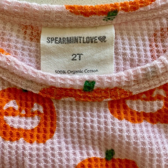 Spearmint Love Pumpkin Waffle Pajama Set - Picture 2 of 5